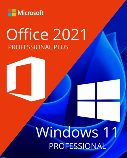 windows 11 professional office 2021 professional plus