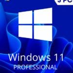 windows 11 professional